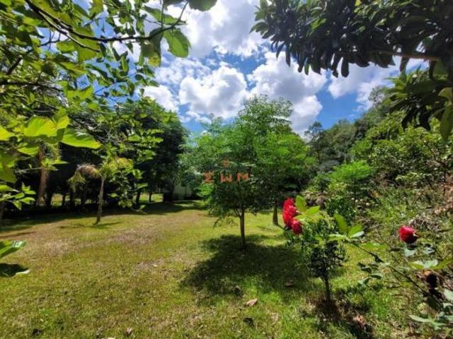 Sítio e chácara venda em Região Geográfica Imediata de Caxias do Sul, Farroupilha