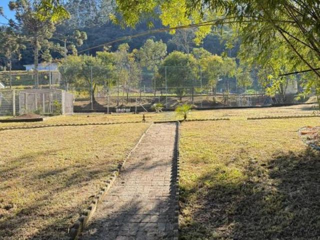 Sítio e chácara venda em Região Geográfica Imediata de Caxias do Sul, Farroupilha