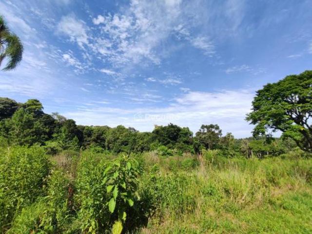 Sítio e chácara venda em Santa Maria do Herval