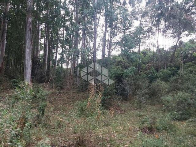 Sítio e chácara venda em Região Geográfica Imediata de Bento Gonçalves, Bento Gonçalves