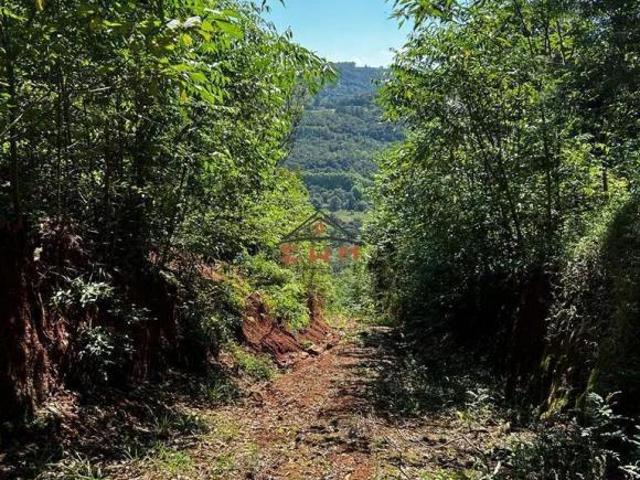 Sítio e chácara venda em Região Geográfica Imediata de Caxias do Sul, Farroupilha