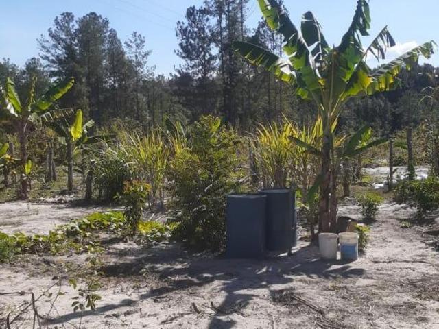 Sítio e chácara venda em Bofete, São Paulo
