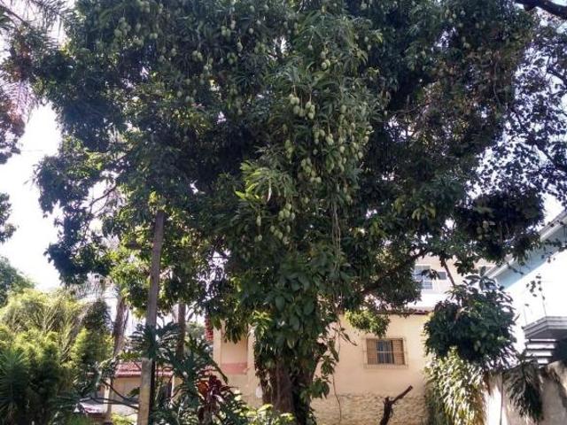 Sítio e chácara venda em Sorocaba
