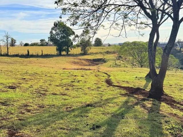 Sítio e chácara venda em Região Geográfica Imediata de Maringá, Marialva