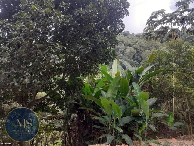 Sítio e chácara venda em Jardim Nova Cidade, Guarulhos