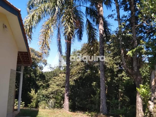 Sítio e chácara venda em Ponta Grossa, Região Geográfica Intermediária de Ponta Grossa