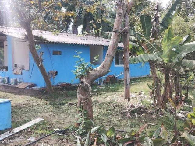 Sítio e chácara venda em Região Imediata de Registro, Miracatu