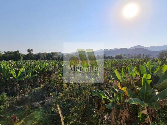 Sítio e chácara venda em Miracatu