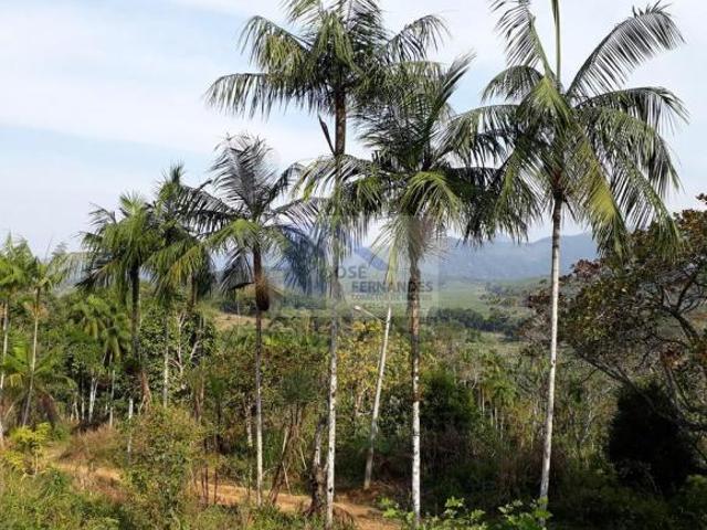 Sítio e chácara venda em Oliveira Barros, Miracatu