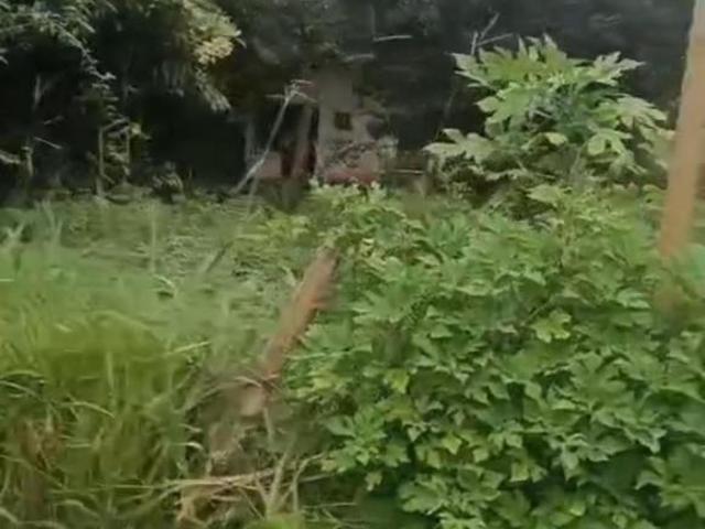 Casa venda em Coco, Moeda