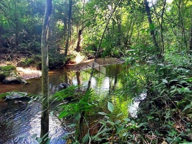 Sítio e chácara venda em Região Geográfica Imediata de Bento Gonçalves, Monte Belo do Sul
