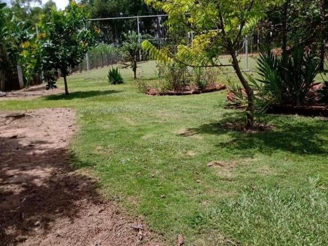 Sítio e chácara venda em Região Geográfica Imediata de São Sebastião do Paraíso, Monte Santo de Minas