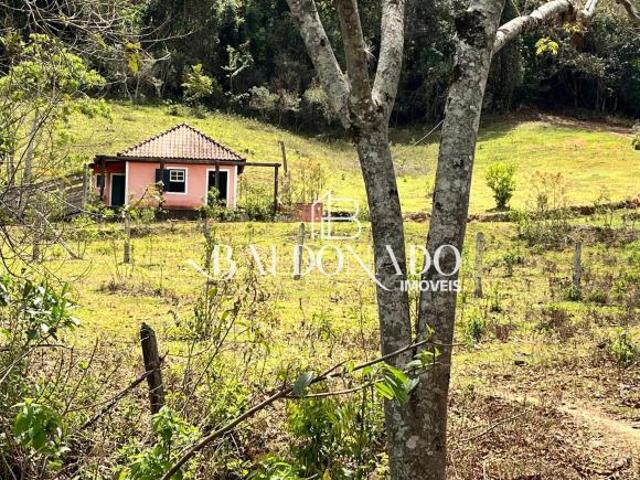 Sítio e chácara venda em Munhoz, Minas Gerais