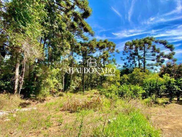 Sítio e chácara venda em Munhoz, Minas Gerais