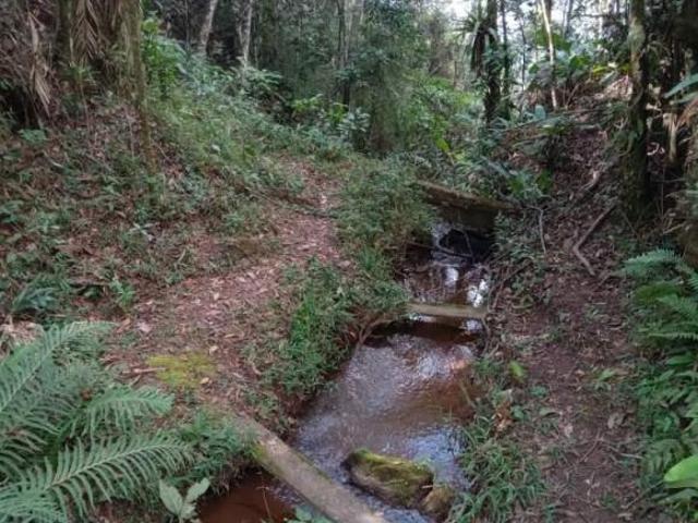 Sítio e chácara venda em Região Imediata de Bragança Paulista, Nazaré Paulista