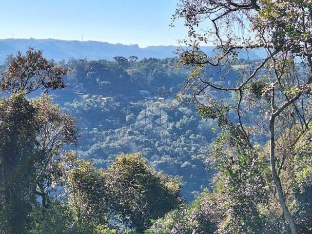 Sítio e chácara venda em Região Geográfica Imediata de Caxias do Sul, Nova Petrópolis