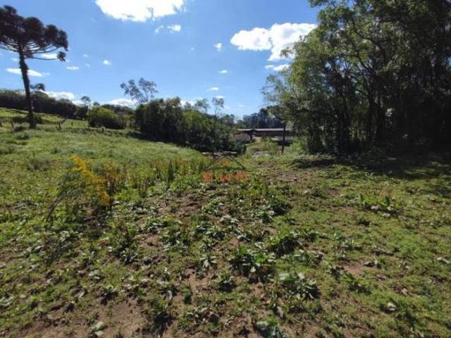Sítio e chácara venda em Região Geográfica Imediata de Caxias do Sul, Farroupilha