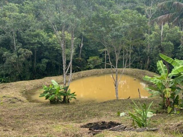 Sítio e chácara venda em Região Imediata de São Paulo, Região Metropolitana de São Paulo