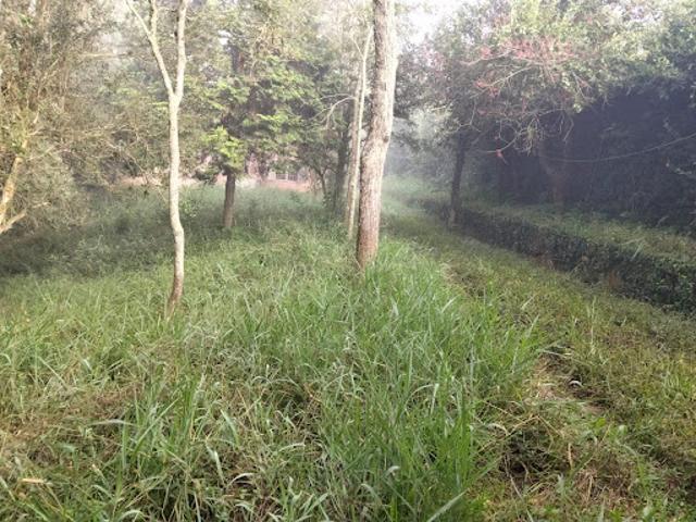 Sítio e chácara venda em Chácaras Ceres, Suzano