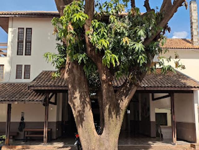 Sítio e chácara aluguel em Hortolândia, São Paulo