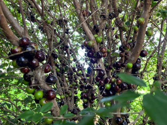 Sítio e chácara venda em Região Imediata de Bragança Paulista, Pedra Bela
