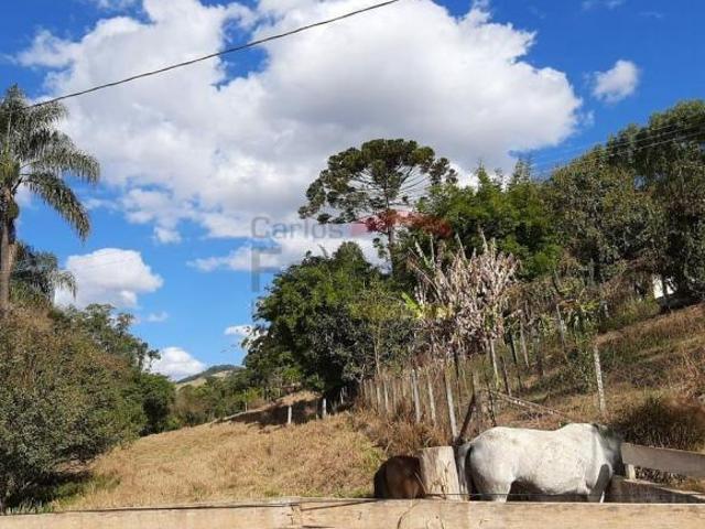 Sítio e chácara venda em Região Imediata de Bragança Paulista, Pedra Bela