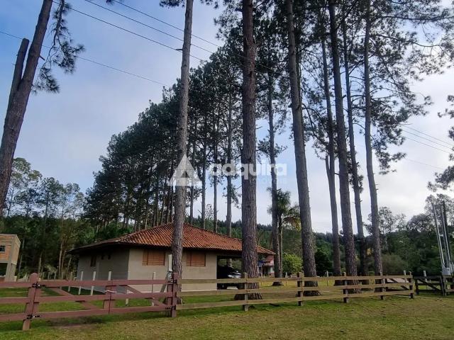 Sítio e chácara venda em Núcleo Cristo Rei, Ponta Grossa