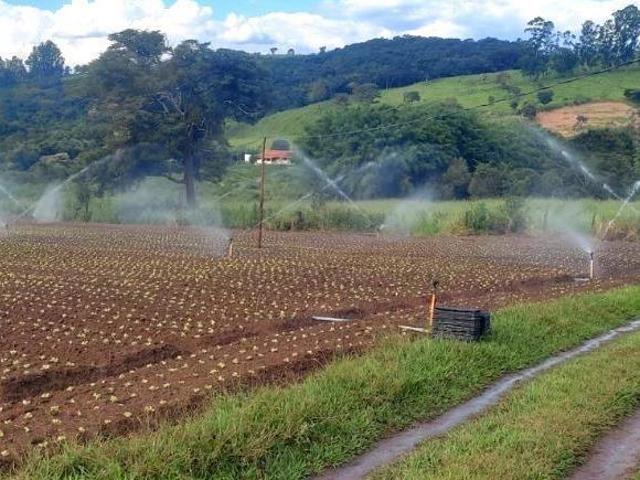 Sítio e chácara venda em Piedade dos Gerais, Região Geográfica Intermediária de Divinópolis