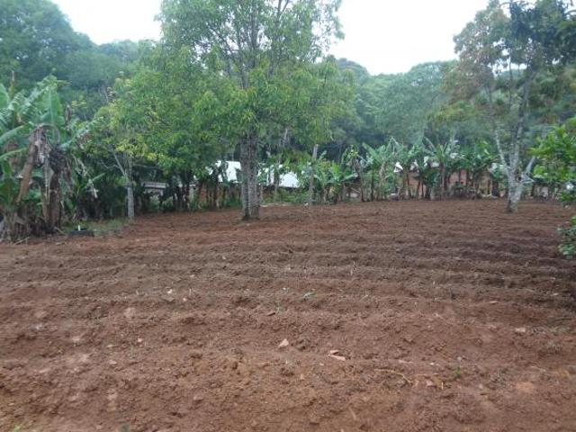 Sítio e chácara venda em Piedade, Região Geográfica Intermediária de Sorocaba