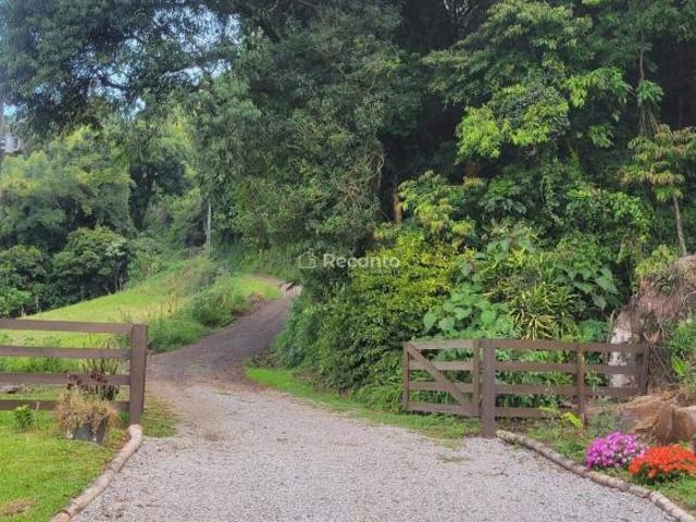 Sítio e chácara venda em Região Geográfica Imediata de Caxias do Sul, Nova Petrópolis