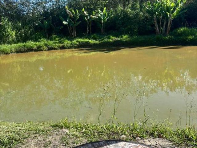 Sítio e chácara venda em Região Imediata de Bragança Paulista, Joanópolis