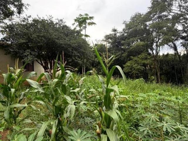 Sítio e chácara venda em Região Geográfica Imediata de Oliveira, Piracema