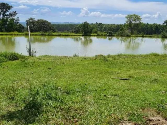 Fazenda venda em Região Geográfica Imediata do Distrito Federal, Região Integrada de Desenvolvimento do Distrito Federal e Entorno