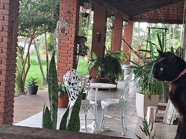 Sítio e chácara venda em Região Imediata de Tatuí, Porangaba