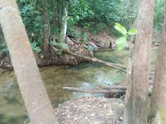 Sítio e chácara venda em Posse, Região Geográfica Intermediária de Luziânia-Águas Lindas de Goiás