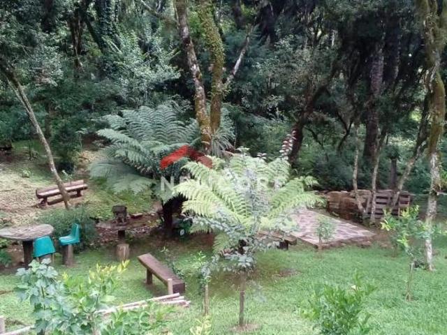 Sítio e chácara venda em Região Geográfica Imediata de Caxias do Sul, São Francisco de Paula