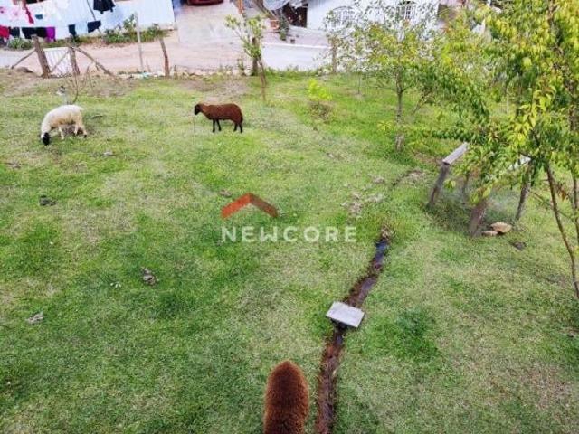 Sítio e chácara venda em Região Geográfica Imediata de Curitiba, Região Metropolitana de Curitiba