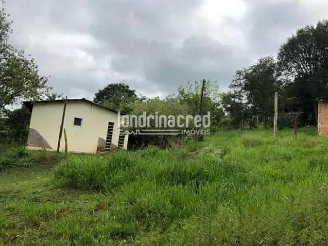Sítio e chácara venda em Região Geográfica Imediata de Londrina, Cambé