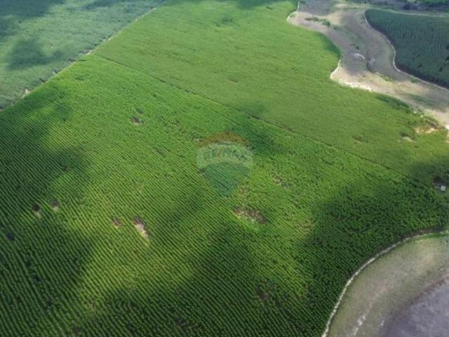 Sítio e chácara venda em Bofete