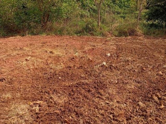 Sítio e chácara venda em Goianésia, Região Geográfica Intermediária de Porangatu-Uruaçu