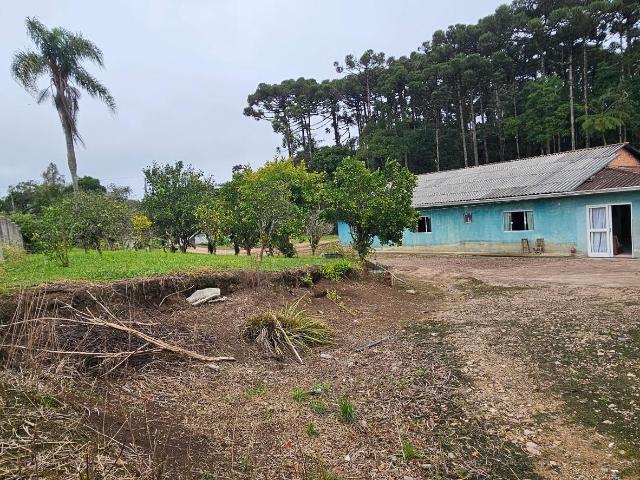 Sítio e chácara venda em Região Geográfica Imediata de Curitiba, Rio Negro