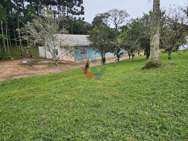 Sítio e chácara venda em Região Geográfica Imediata de Curitiba, Rio Negro