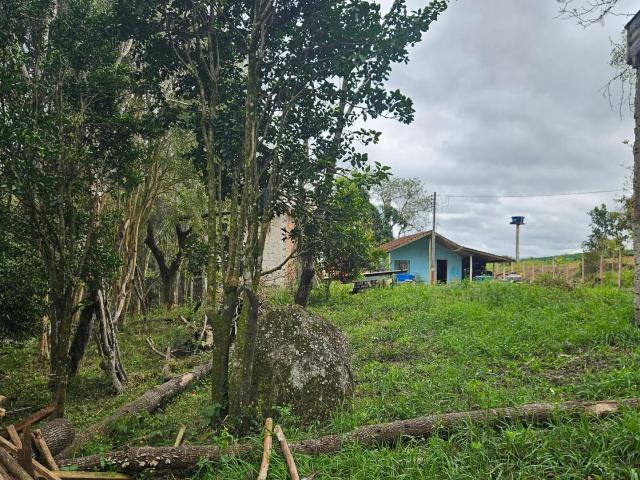 Sítio e chácara venda em Região Geográfica Imediata de Curitiba, Região Metropolitana de Curitiba
