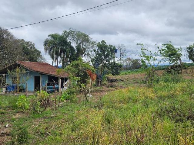 Sítio e chácara venda em Região Geográfica Imediata de Curitiba, Região Metropolitana de Curitiba