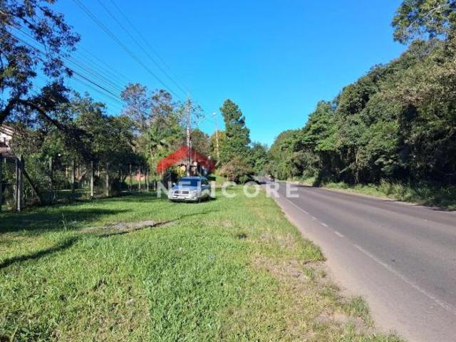 Sítio e chácara venda em Tainhas, São Francisco de Paula