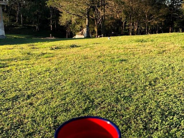 Sítio e chácara venda em Região Geográfica Imediata de Curitiba, Região Metropolitana de Curitiba