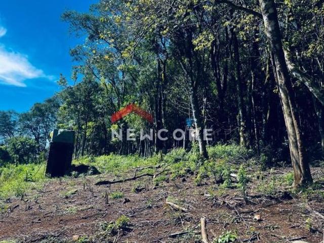 Sítio e chácara venda em São Chico Loteamento Industrial e Comercial, São Francisco de Paula