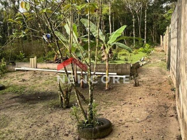 Sítio e chácara venda em Mongaguá