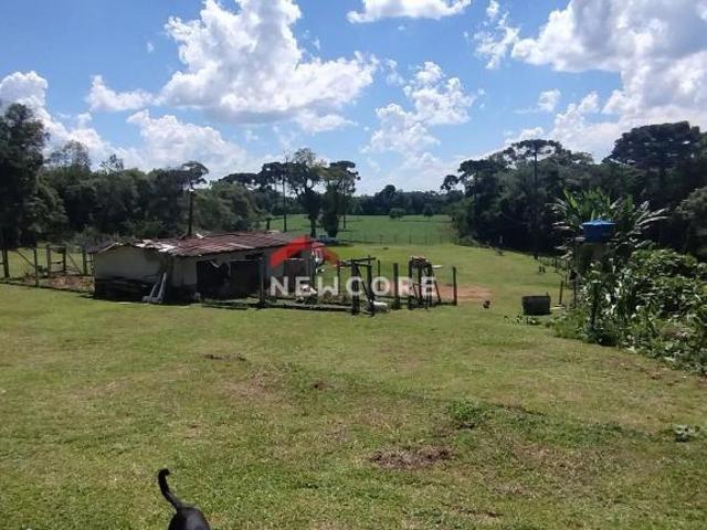 Sítio e chácara venda em Região Geográfica Imediata de Curitiba, Região Metropolitana de Curitiba