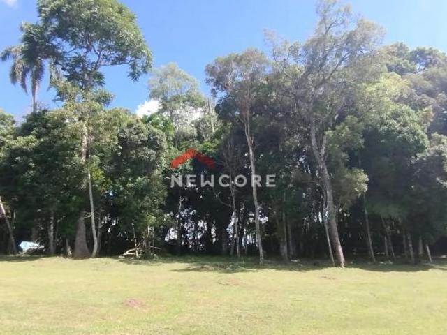 Sítio e chácara venda em Região Geográfica Imediata de Curitiba, Região Metropolitana de Curitiba